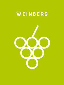 Weinberg Bild