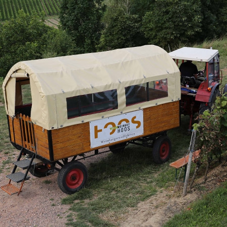 Weingut Hoos Planwagenfahrt durch den Weinberg.